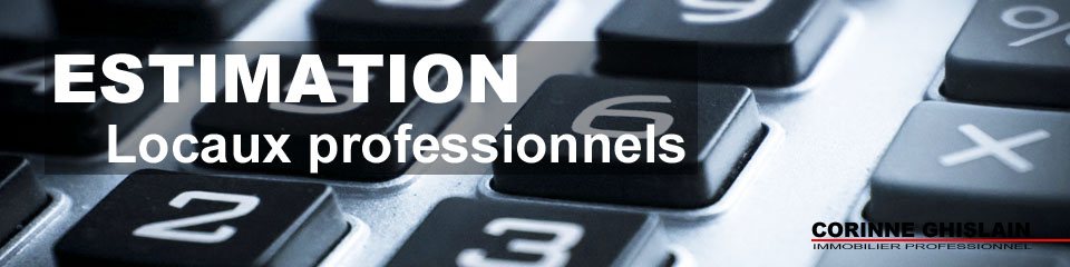 Estimation immobilier professionnel.